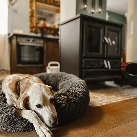 Evas Boutique Alm בית נופש