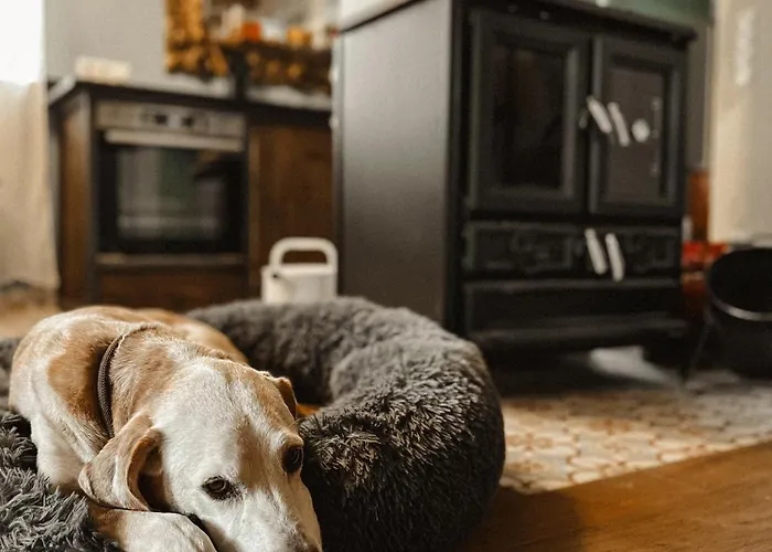 Evas Boutique Alm Vakantiehuis